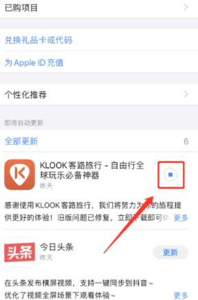 苹果IPhone 12 Pro Max快速更新软件的步骤