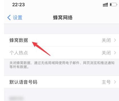 苹果IPhone 12数据网络如何打开