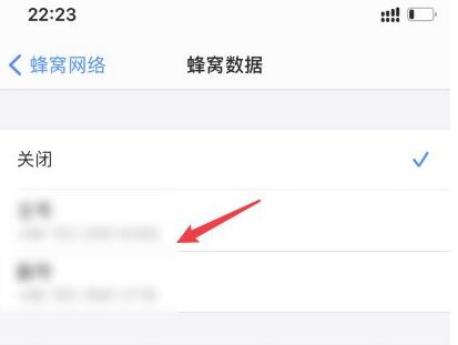 苹果IPhone 12数据网络如何打开