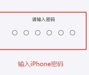 苹果IPhone 12一直显示无服务该怎么操作