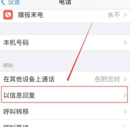 苹果IPhone 11怎么设置以短信回复来电
