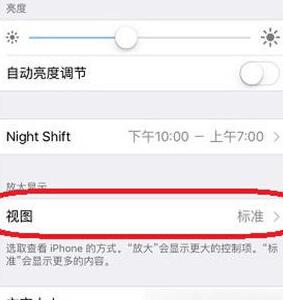 苹果iPhone SE 2改变图标的大小设置方法