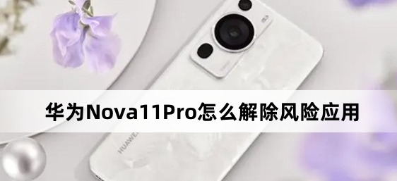 华为Nova 11 Pro如何解除风险应用