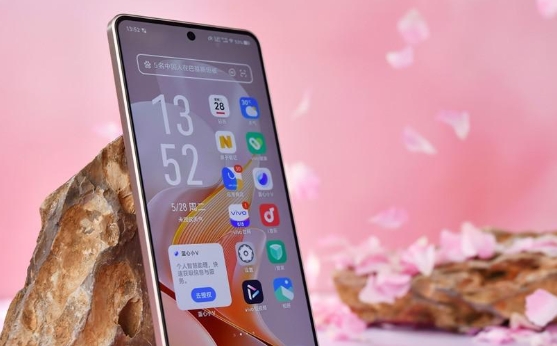 vivo S19流量使用情况怎么查看